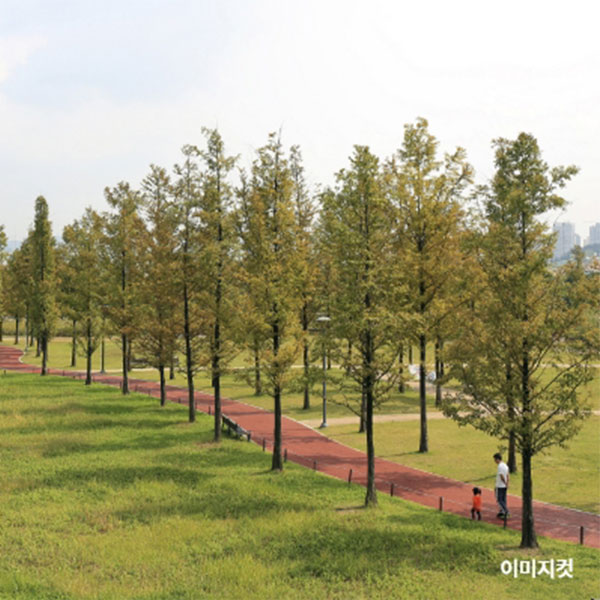 용인푸르지오 PREMIUM 4